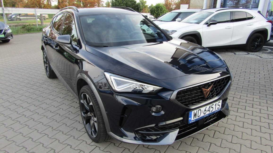 Cupra Formentor 2.0 TSI 4Drive DSG WD6451S w leasingu dla firm