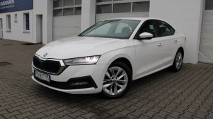 Skoda Octavia 2.0 TDI Ambition DSG PO9VT15 w zakupie za gotówkę