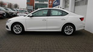 Skoda Octavia 2.0 TDI Ambition DSG PO4VV16 w zakupie za gotówkę