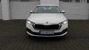 Skoda Octavia 2.0 TDI Ambition DSG PO4VV16 w zakupie za gotówkę