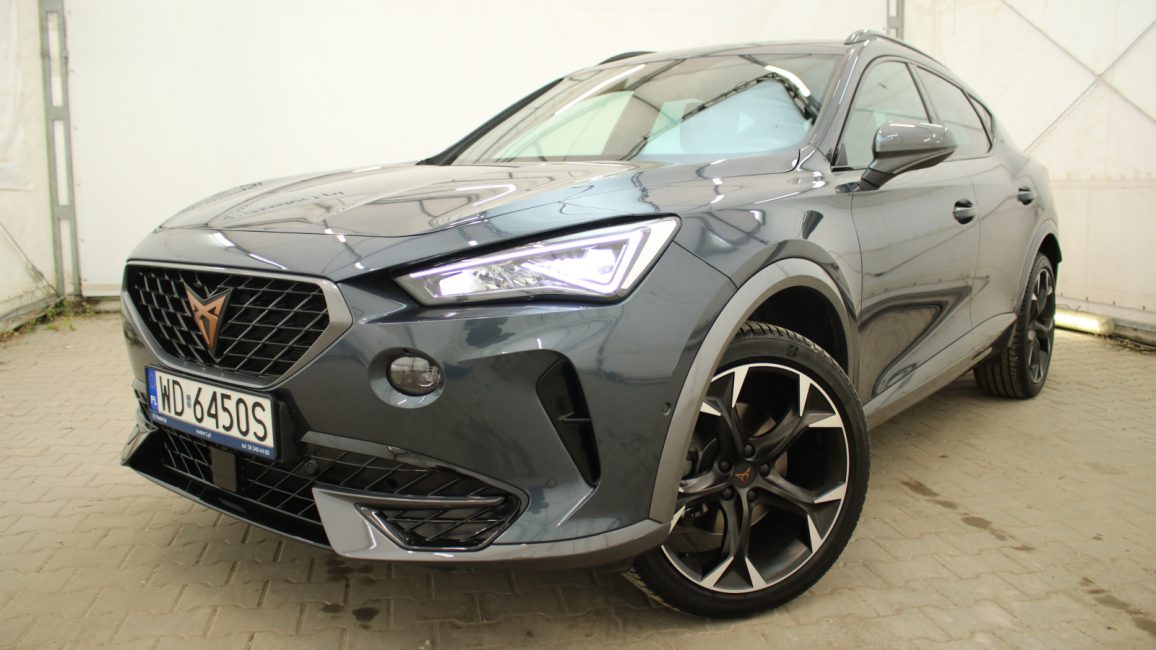 Cupra Formentor 2.0 TSI 4Drive DSG WD6450S w leasingu dla firm