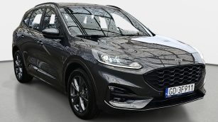 Ford Kuga 1.5 EcoBoost FWD ST-Line GD3F911 w zakupie za gotówkę