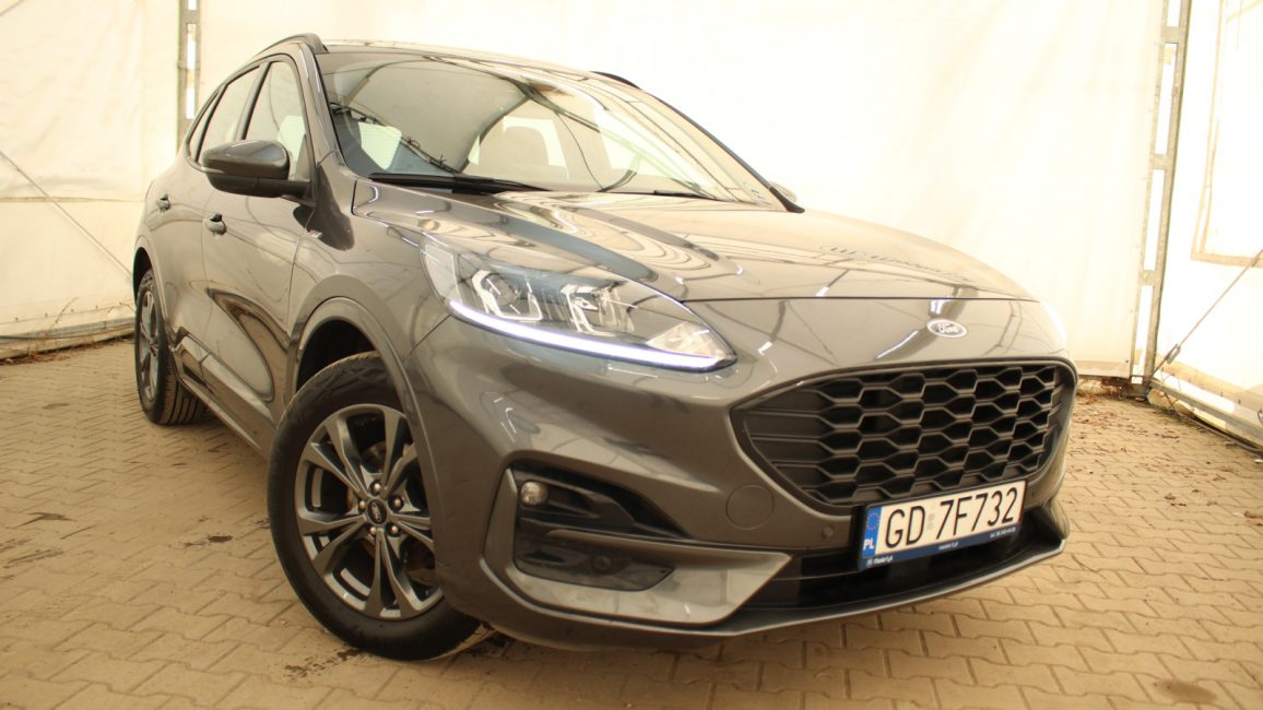 Ford Kuga 1.5 EcoBoost FWD ST-Line GD7F732 w zakupie za gotówkę