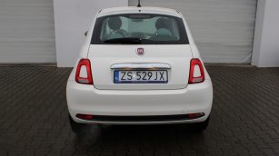 Fiat 500 1.2 Pop EU6d ZS529JX w leasingu dla firm